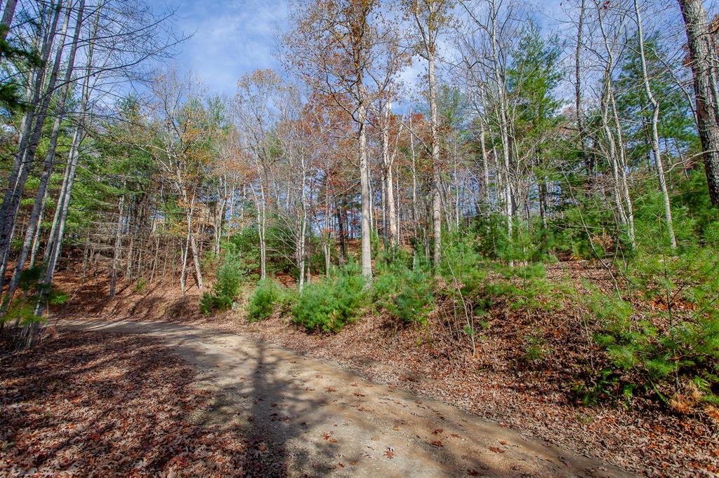 TBD Leisure Way #15, MORGANTON, Georgia image 27