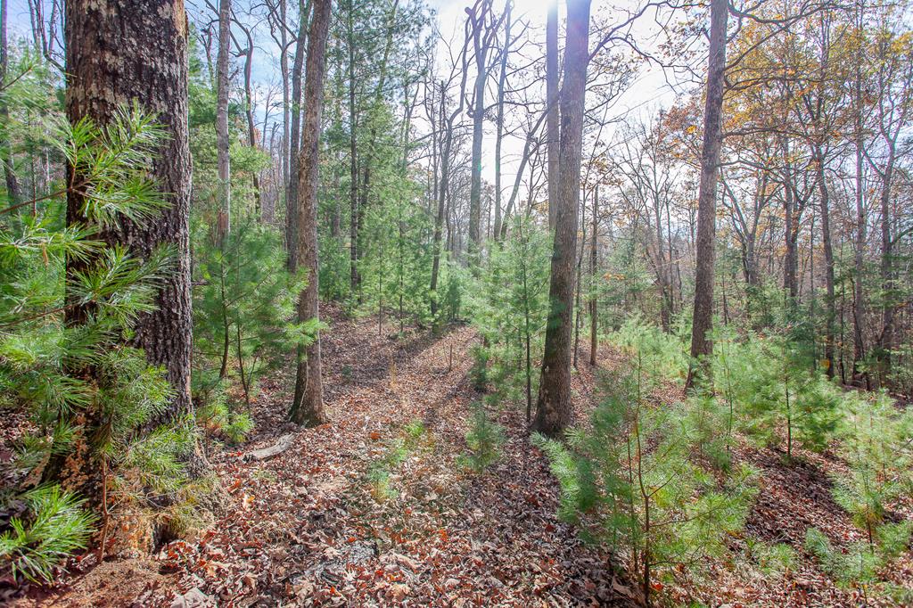 TBD Leisure Way #15, MORGANTON, Georgia image 25