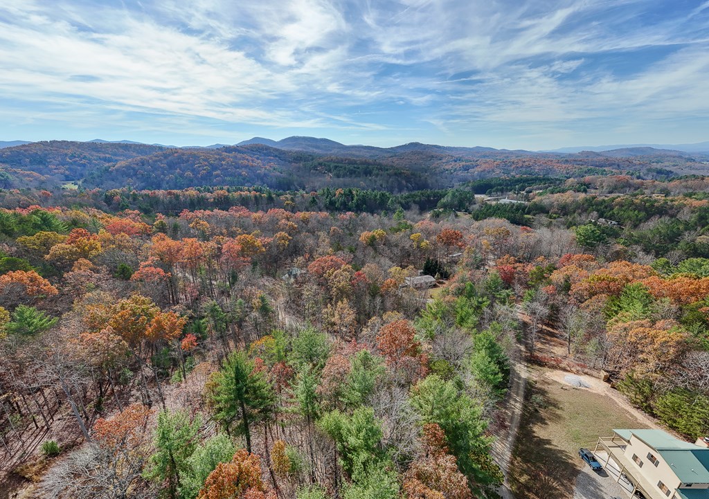 TBD Leisure Way #15, MORGANTON, Georgia image 5