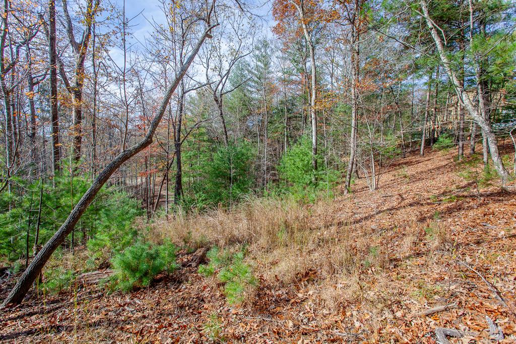 TBD Leisure Way #15, MORGANTON, Georgia image 24