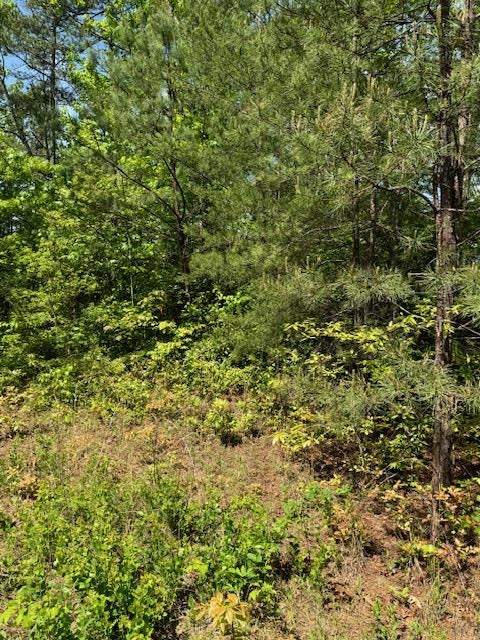 Vacant Land For Sale - LOT 12 Paradise Mountain #12<br/> MARBLE, NC 28905