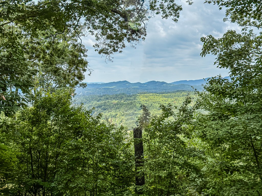 425 Boyd Ridge Drive #4, MURPHY, North Carolina image 27