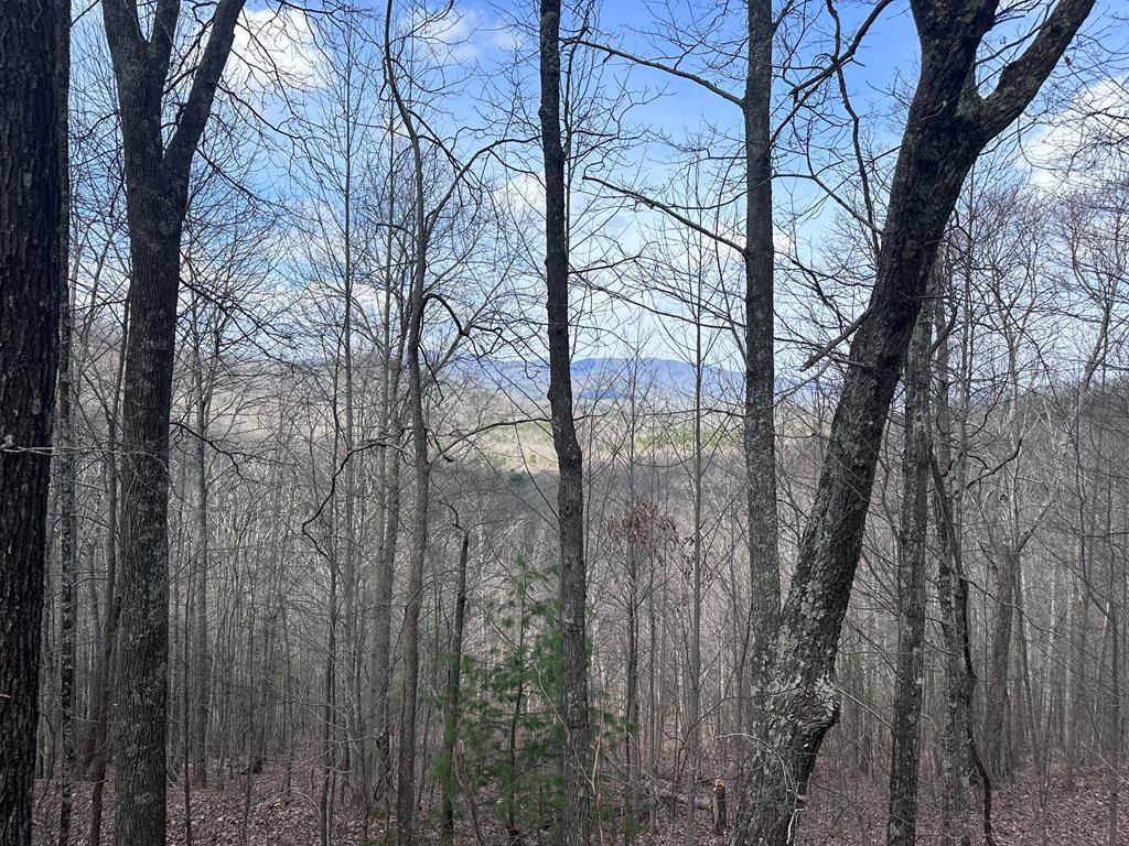 TBD Pack Mountain Road