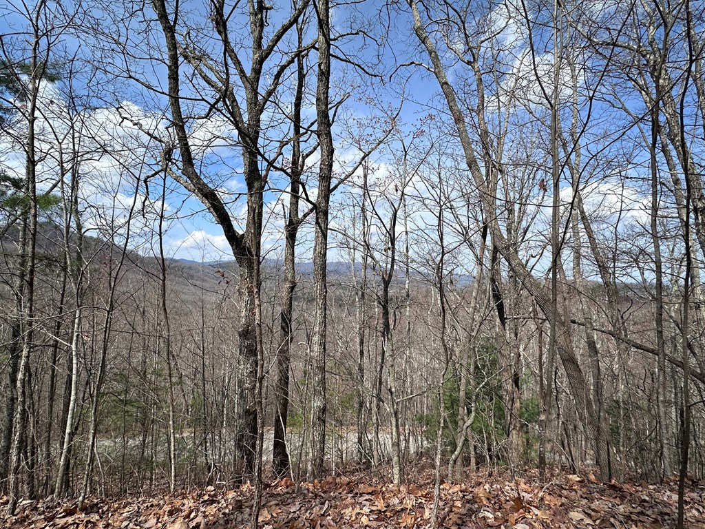 TBD Pack Mountain Road
