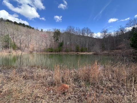 Vacant Land For Sale - TBD Pack Mountain Road<br/> MURPHY, NC 28906
