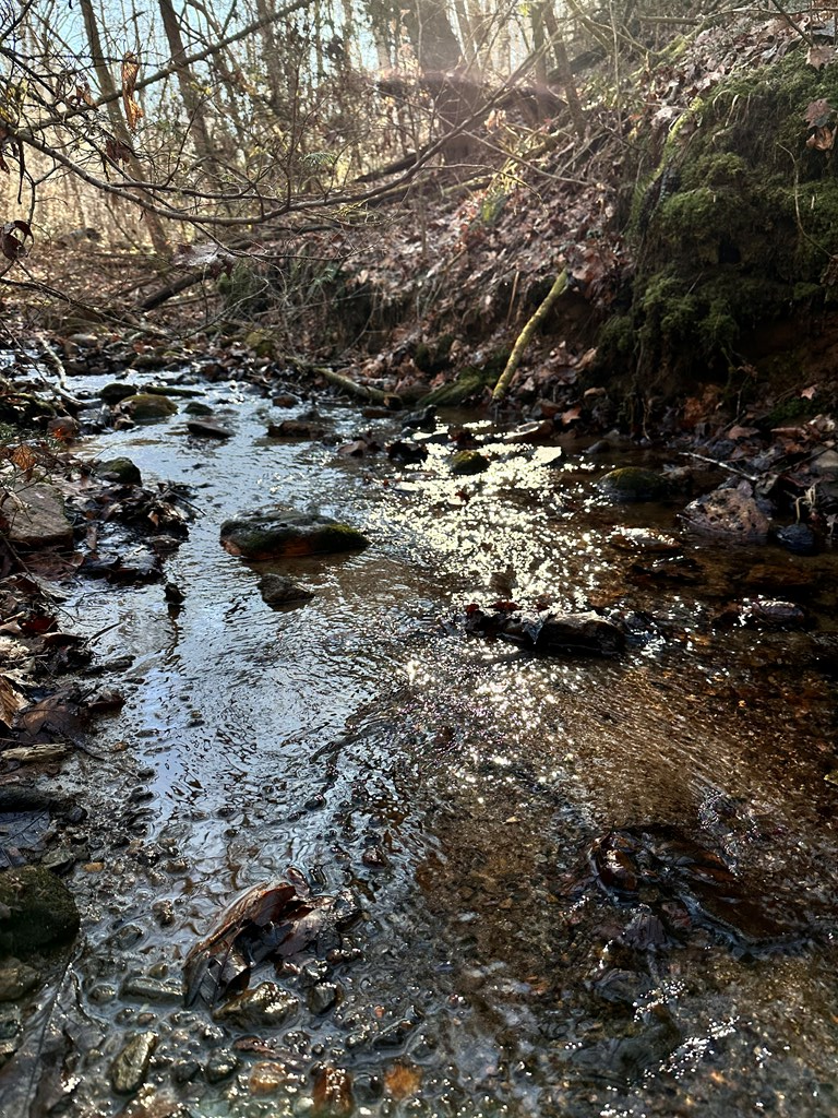 Lot 22 Valley River Walk, MURPHY, North Carolina image 3