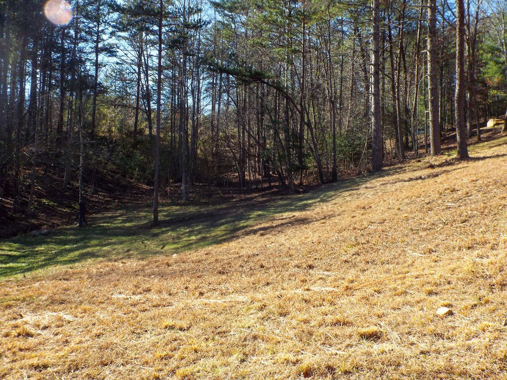 70 Deer Haven Trail, MURPHY, North Carolina image 9