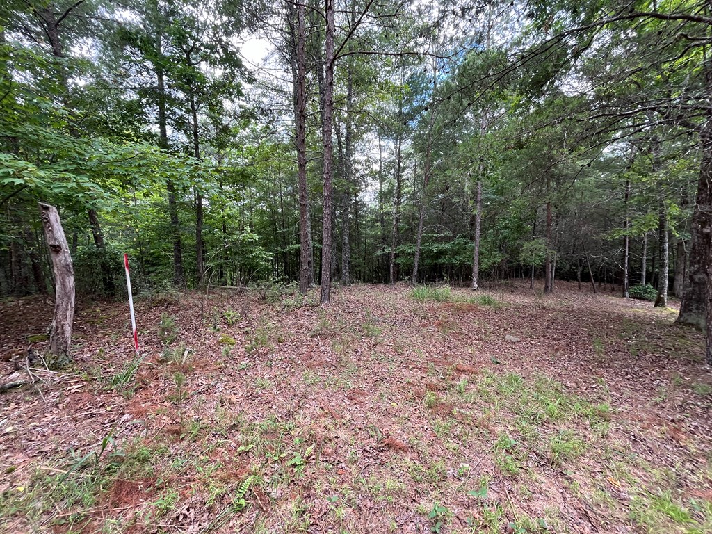 Lot 81 Short Oak Run #81, MURPHY, North Carolina image 3