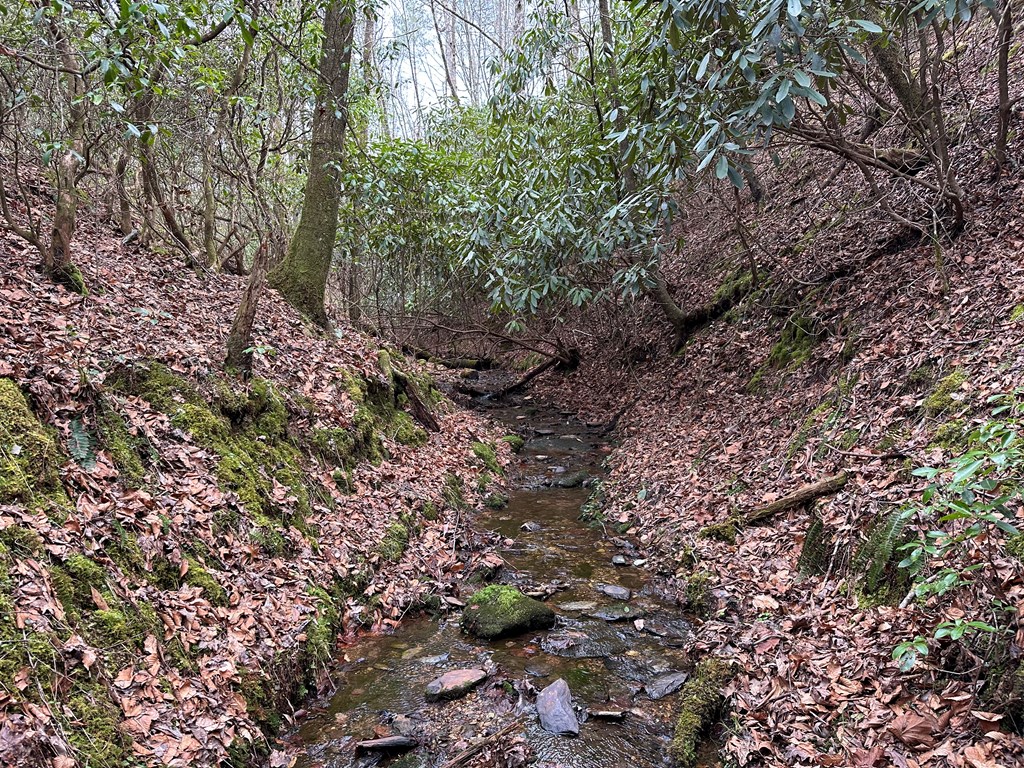 Lot 81 Short Oak Run #81, MURPHY, North Carolina image 4