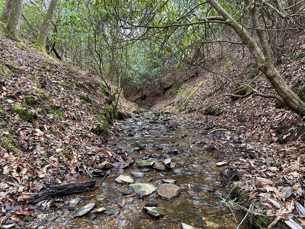 Lot 81 Short Oak Run #81, MURPHY, North Carolina image 11