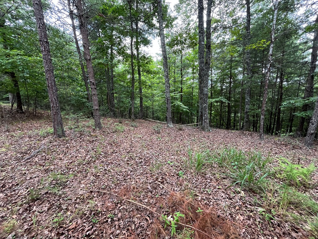 Lot 81 Short Oak Run #81, MURPHY, North Carolina image 9