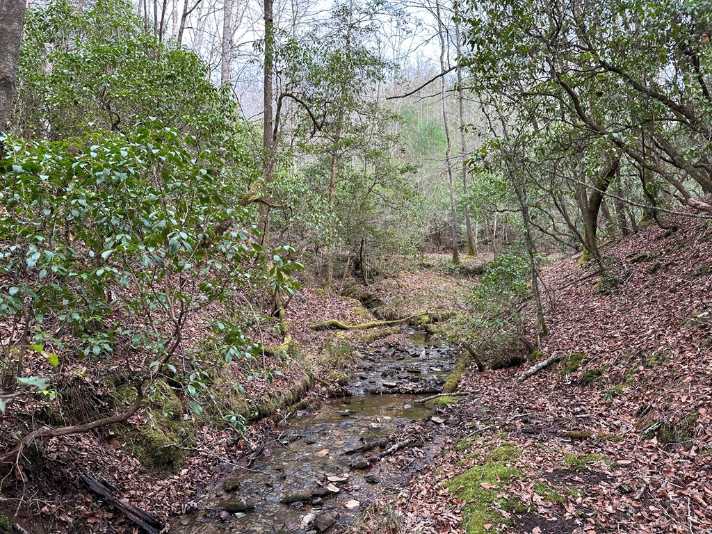 Lot 81 Short Oak Run #81, MURPHY, North Carolina image 12