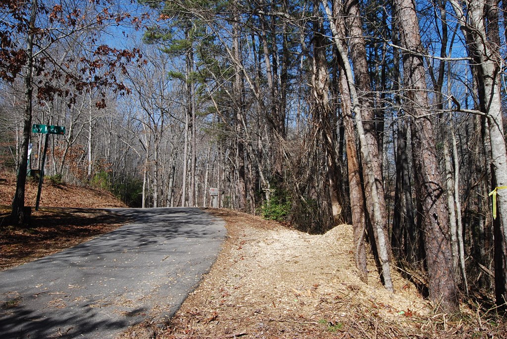 LT 12A Ivy Knob Terrace #12A, HAYESVILLE, North Carolina image 10