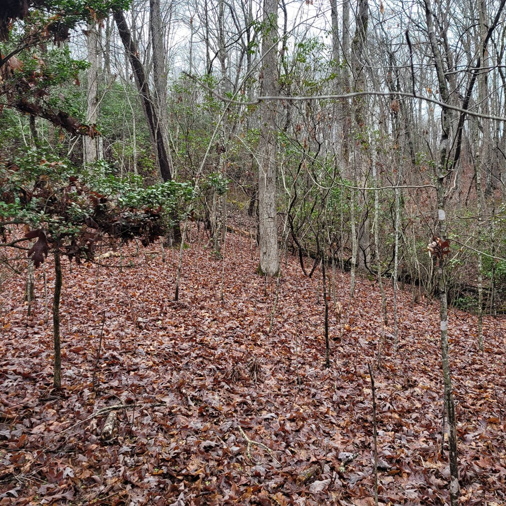 LT 12A Ivy Knob Terrace #12A, HAYESVILLE, North Carolina image 21