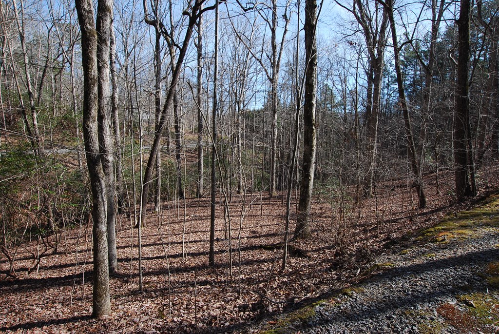 LT 12A Ivy Knob Terrace #12A, HAYESVILLE, North Carolina image 9