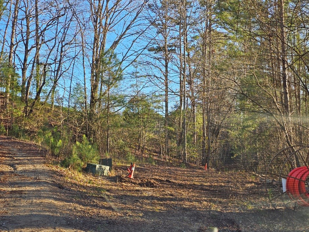 Lot 21 Broadleaf Lane #21, MURPHY, North Carolina image 11