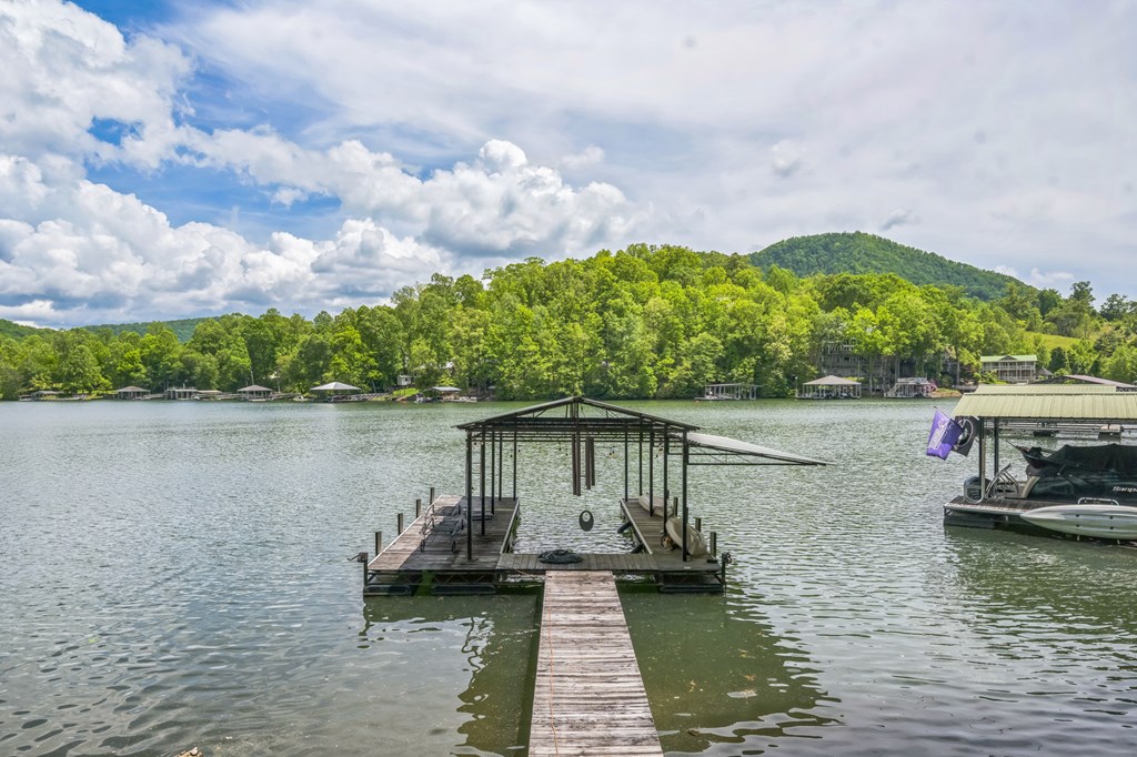 398 Hidden Cove Ln, HAYESVILLE, North Carolina image 8