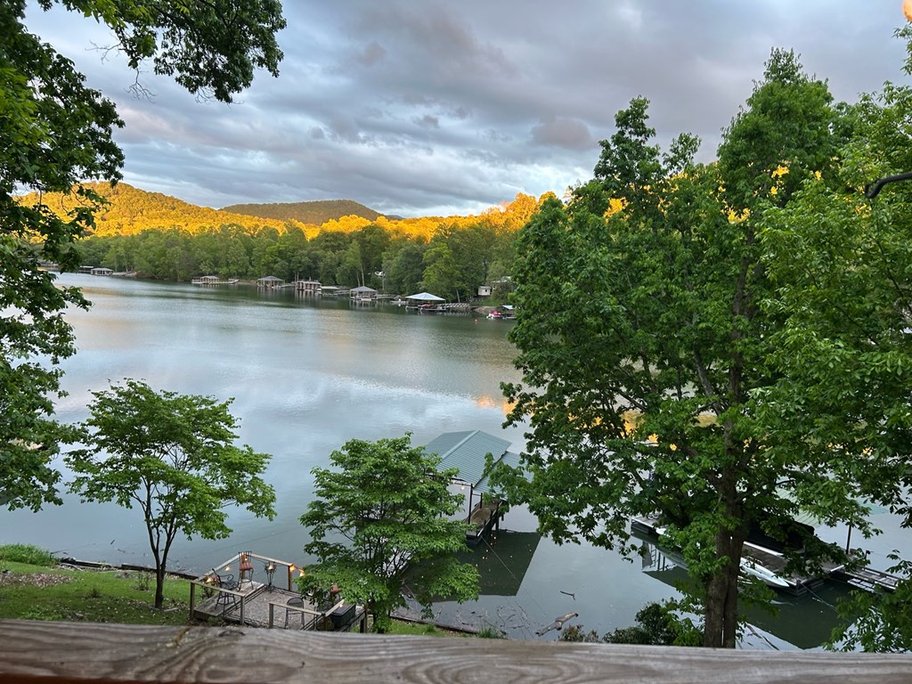 398 Hidden Cove Ln, HAYESVILLE, North Carolina image 2