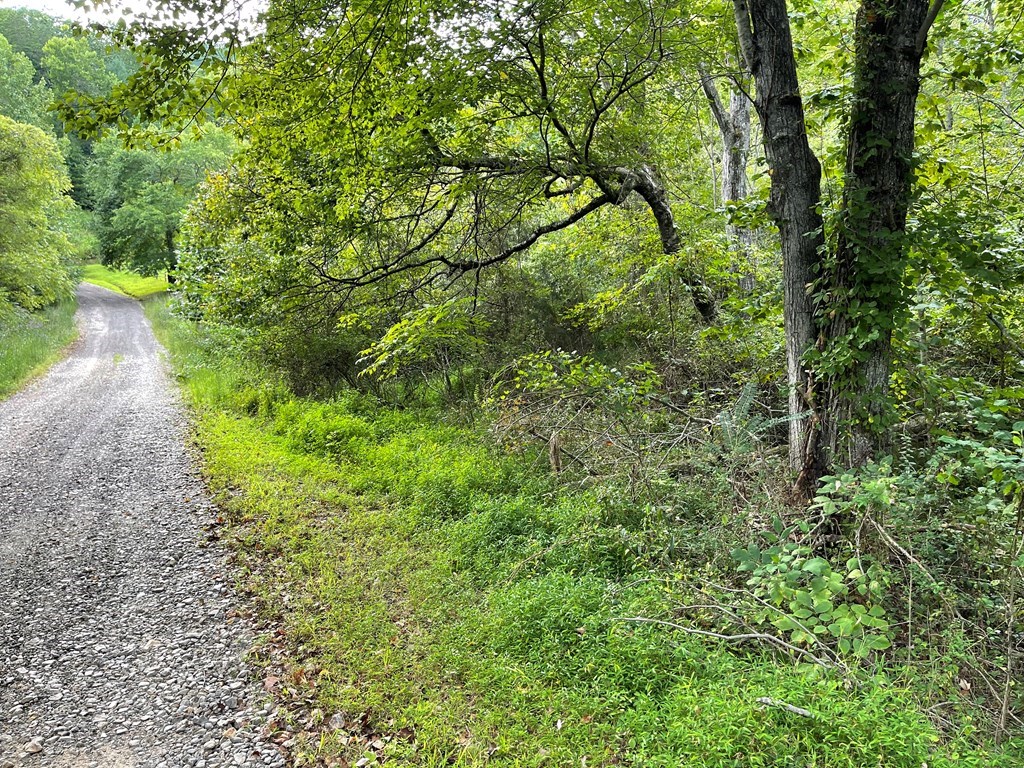 Lot 9 Sharons Way #9, HAYESVILLE, North Carolina image 7