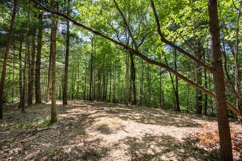 Vacant Land For Sale - 4.0 ACRE Donley Road<br/> MURPHY, NC 28906