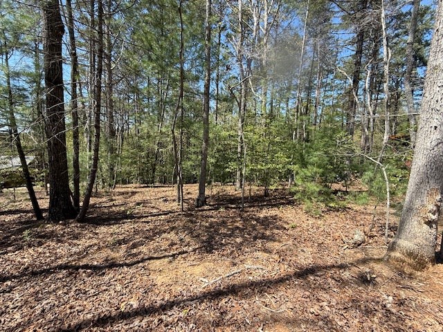Lot 2 Lynae Lane #2, MURPHY, North Carolina image 5