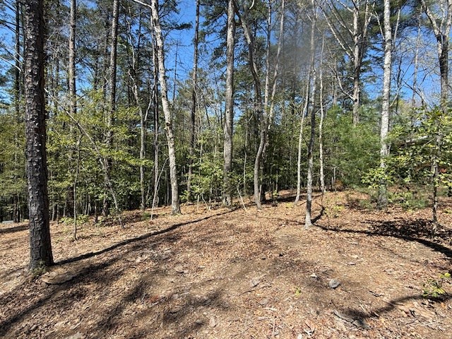 Lot 2 Lynae Lane #2, MURPHY, North Carolina image 3