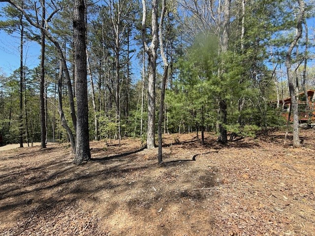 Lot 2 Lynae Lane #2, MURPHY, North Carolina image 2