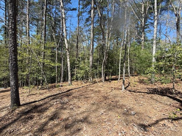 Lot 2 Lynae Lane #2, MURPHY, North Carolina image 1