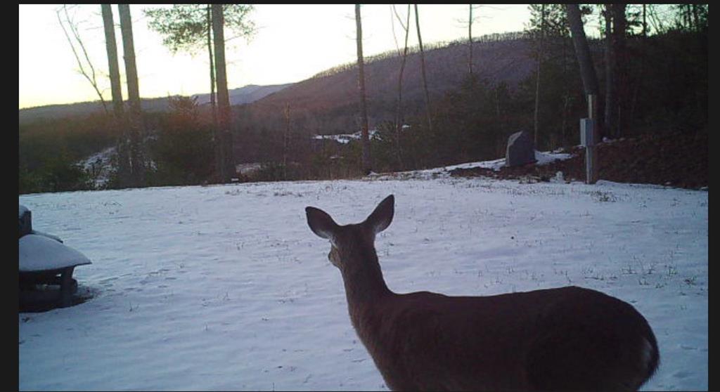 TBD Deer Haven Trail, MURPHY, Alabama image 20