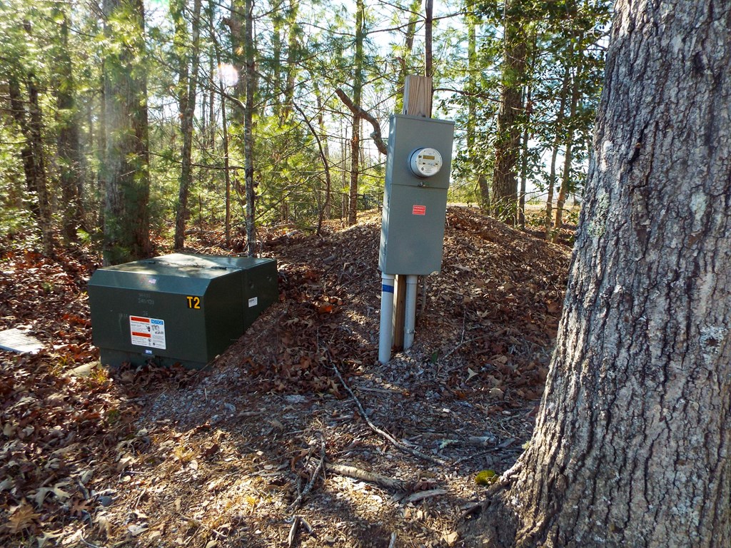 TBD Deer Haven Trail, MURPHY, Alabama image 9