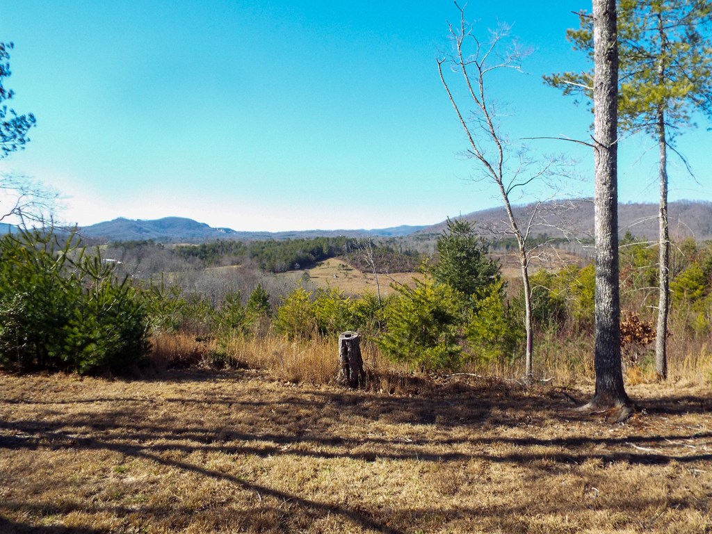 TBD Deer Haven Trail, MURPHY, Alabama image 6