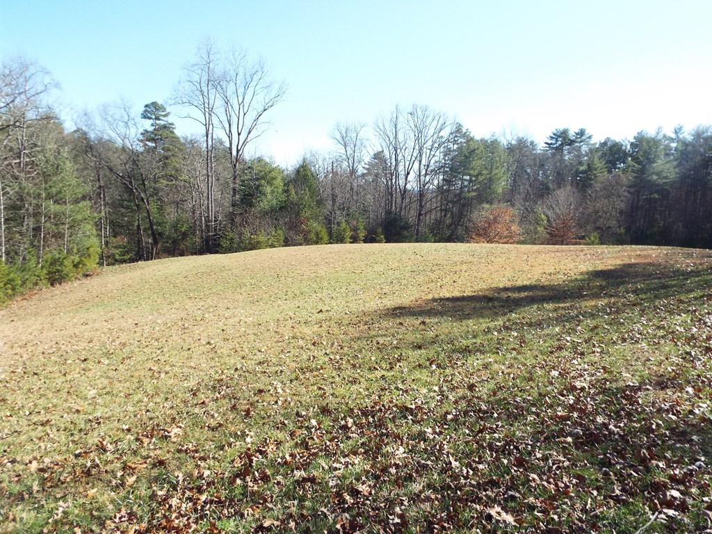 TBD Deer Haven Trail, MURPHY, Alabama image 7