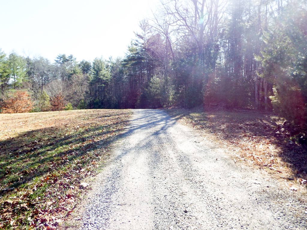 TBD Deer Haven Trail, MURPHY, Alabama image 16