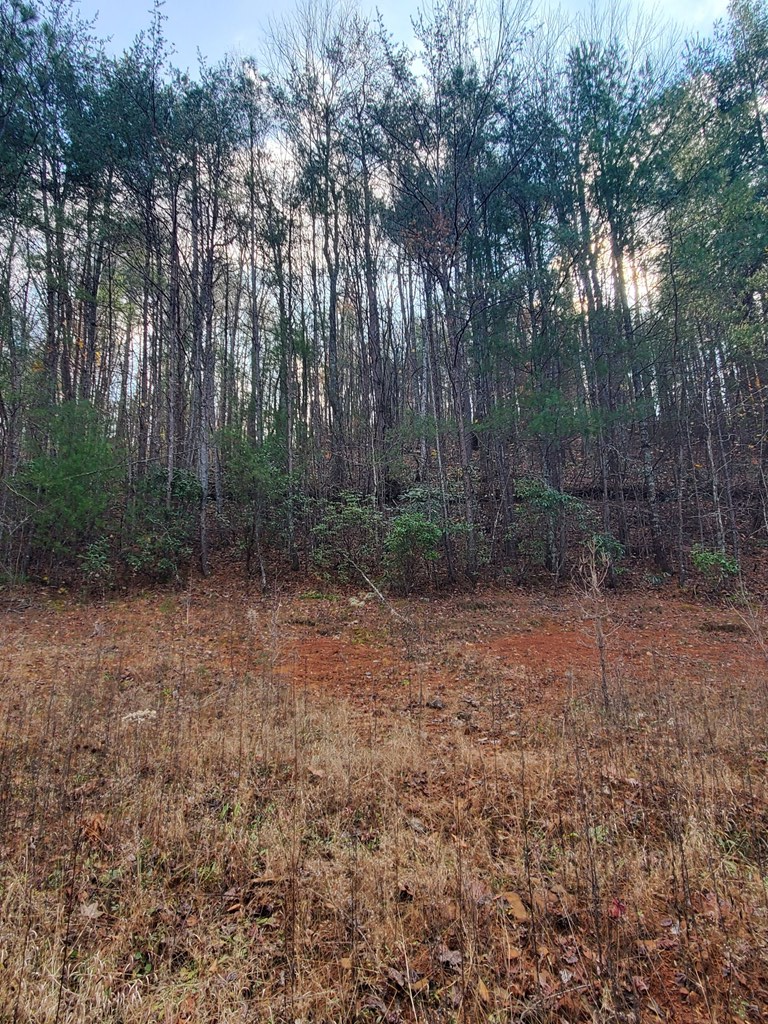 Lot 6 Katerina Lane #6, MURPHY, Texas image 12