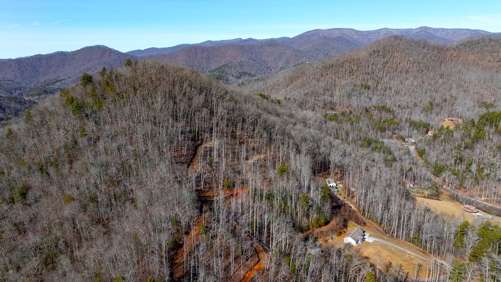 00 Willow Lane, ROBBINSVILLE, North Carolina image 9