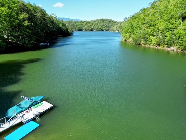 238 Lakeview Dr, ALMOND, North Carolina image 2