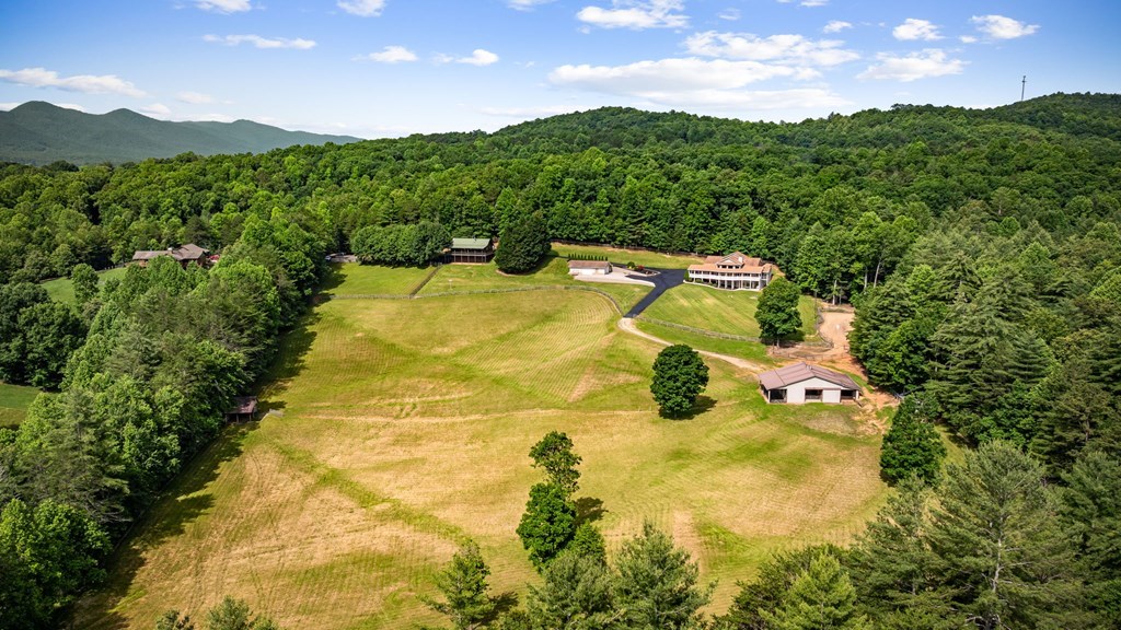 341 Holly Lane Road, BLAIRSVILLE, Texas image 2