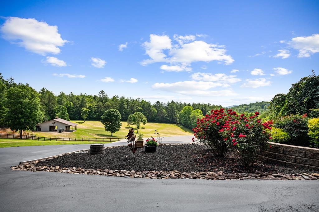 341 Holly Lane Road, BLAIRSVILLE, Texas image 9