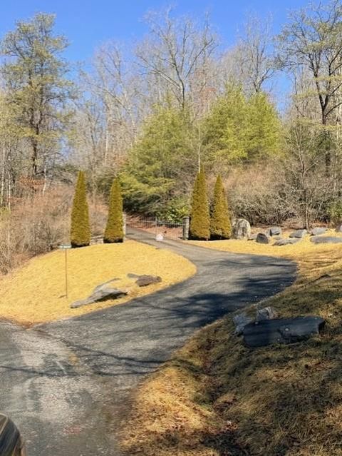 Vacant Land For Sale - TBD Brandonwood Drive #1458<br/> Swain County, TOPTON, NC 28781