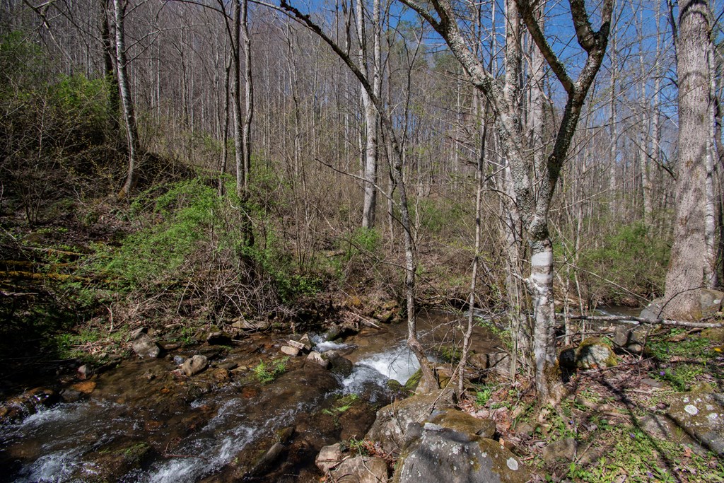 1112 Beech Creek, ROBBINSVILLE, North Carolina image 4