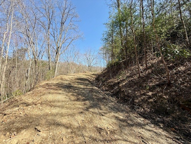 Lot 3 Wild Laurel #3, BRASSTOWN, New York image 5
