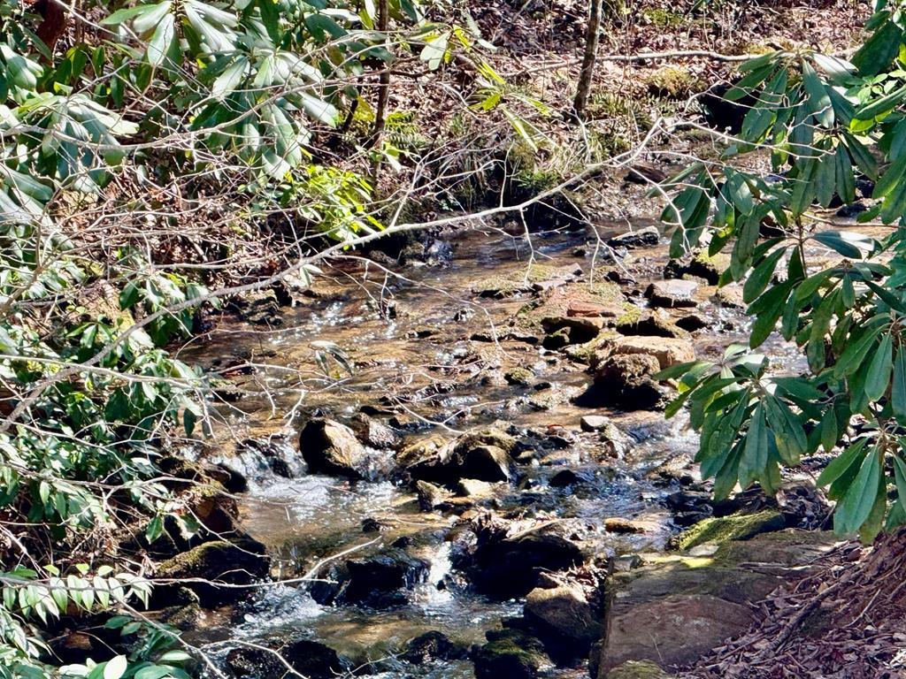 Lot 3 Wild Laurel #3, BRASSTOWN, New York image 11
