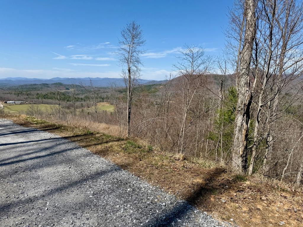 Lot 3 Wild Laurel #3, BRASSTOWN, New York image 8