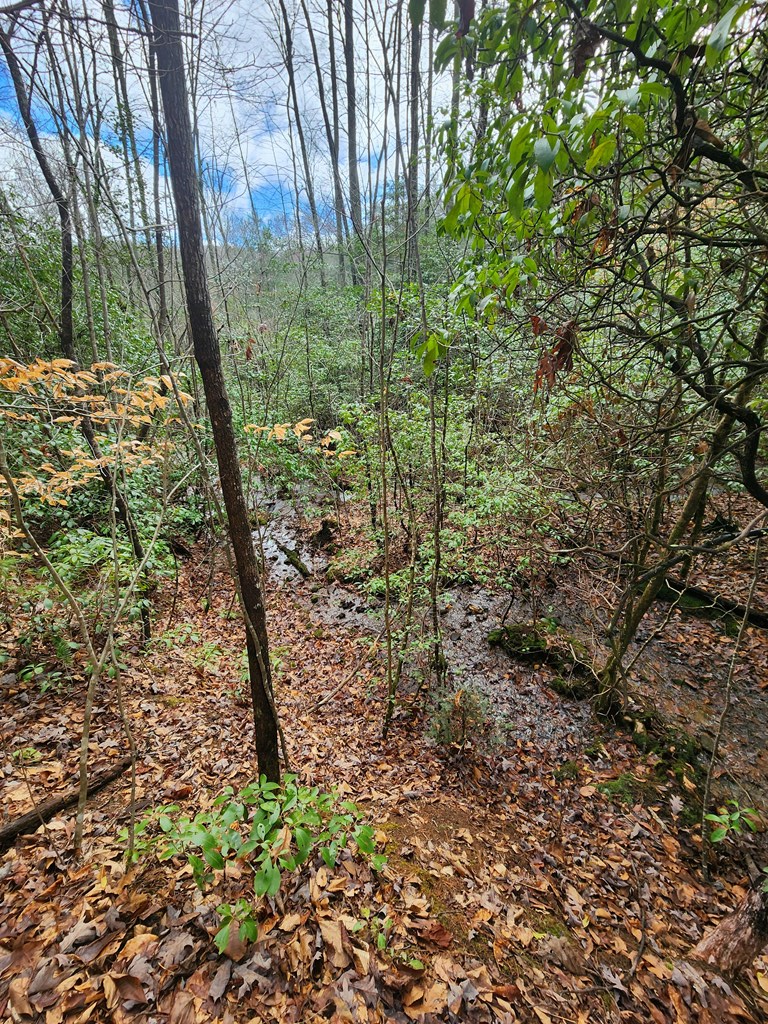 00 Brookside #30-31, MURPHY, North Carolina image 9