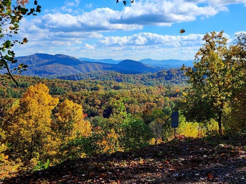 Vacant Land For Sale - L46 Warbler Rd #46<br/> MURPHY, NC 28906