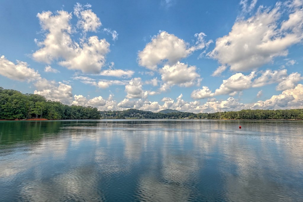 1401 Lakeside Road #502, HIAWASSEE, Georgia image 2