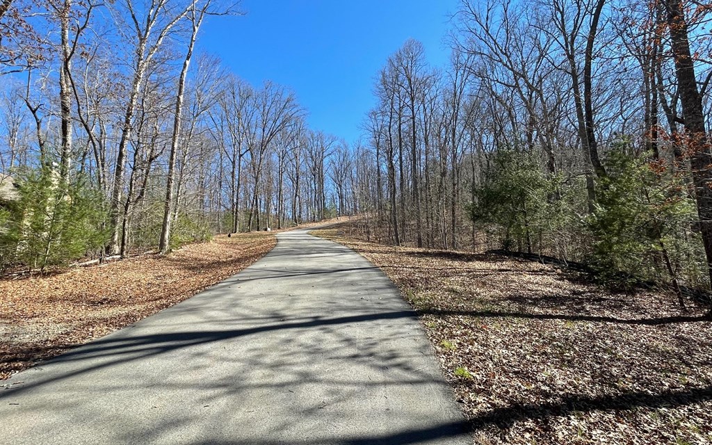 Lot 9 Wolfpen Gap #9, HIAWASSEE, Georgia image 4