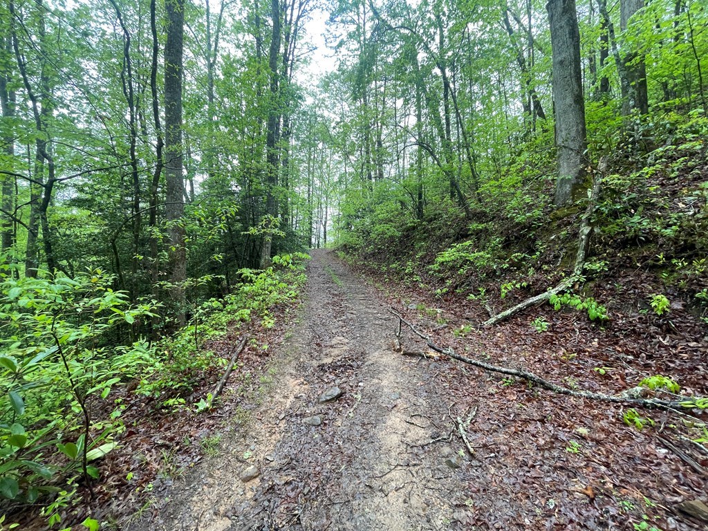 Ledford Rd, BRYSON CITY, North Carolina image 2