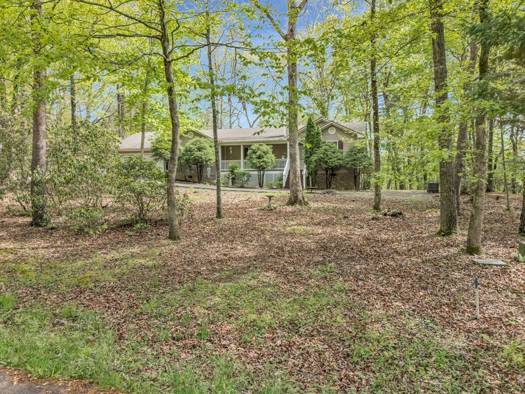 144 Ashley Circle, BLAIRSVILLE, Georgia image 41