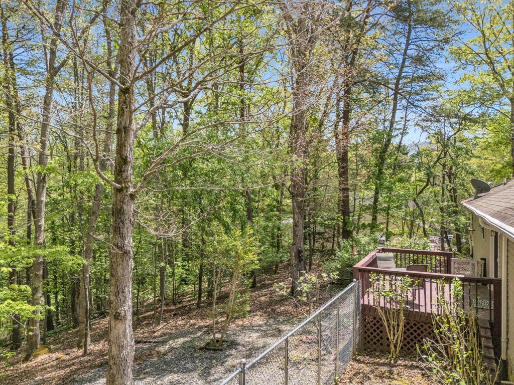 144 Ashley Circle, BLAIRSVILLE, Georgia image 48